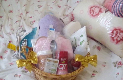 Northumberland Park Bed & Breakfast | Executive Female Tottenham Spurs stay over