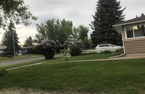 Haysboro House | Executive - Haysborough - 20% discount for long term rentals!