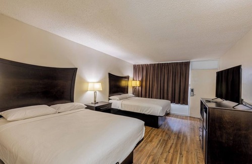 Beeville Hotel | Executive Inn Beeville US 181 By Capital O