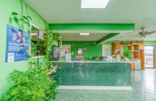 Mineral Wells Hotel | Executive Inn By OYO Mineral Wells US-180