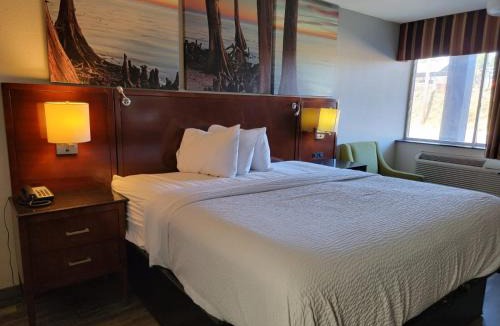 Dothan Hotel | Executive Inn & Suites