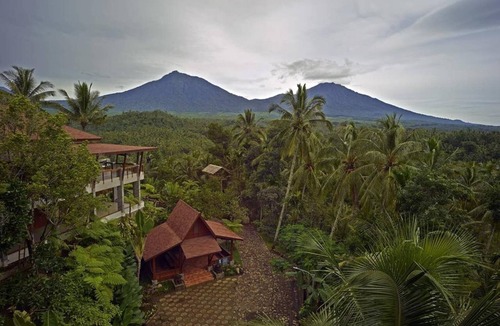 Banyuwangi Apartment | Executive on the Foothills of Ijen Plateau