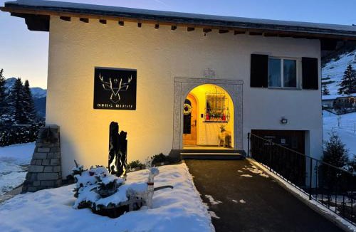 Engadin Scoul House | Exklusives Berg-Bijou mit Bergblick mit privaten Wellnessbereich Hot Tube und Sauna -Hunde herzlich Willkommen mit eingezäunten Grundstück
