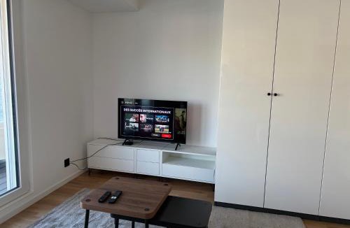 Lausanne Apartment | Expérience unique à Lausanne, Top floor Apartment on Lausanne Train Station