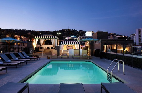 Norma Triangle Hotel | Experience a Luxurious Stay with Rooftop Heated Pool! Four Units, Pet-friendly!