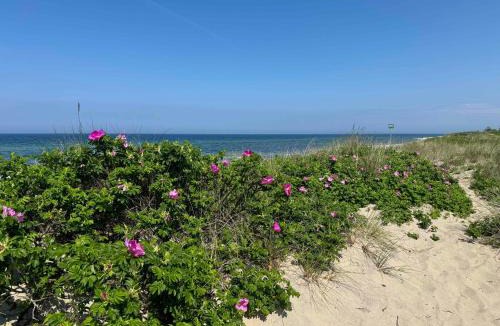 Udsholt Sand House | Experience Real Summer Idyll At Drageholmen 3