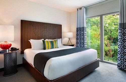 Downtown San Antonio Hotel | Experience Soothing Moments & Luxury! River View, Dogs Allowed, Outdoor Pool