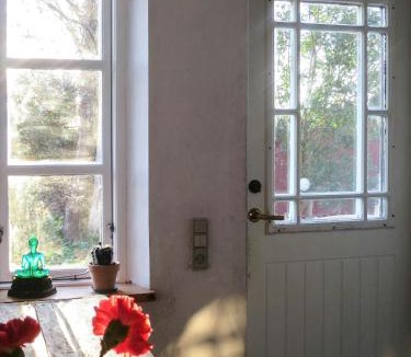 Samsø House | Experience The Sea And Starling Murmuration