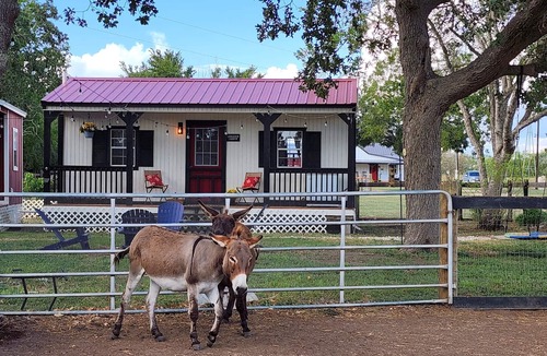 Moulton Cabin | Experience the Texas Country on an Authentic Texas Ranch!