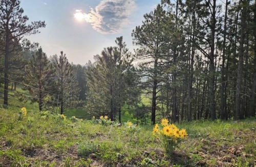 Sundance Cabin | Experience the West at Home on the Range