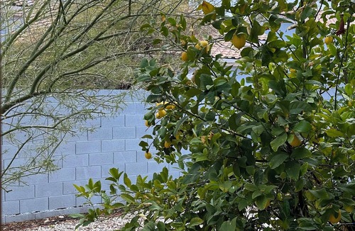 Canyon Gate House | Experience Vegas like a local! Cozy 2-bedroom townhome 25 mins from LV Strip