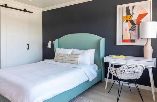 Piedmont Avenue Hotel | Explore the amazing riches of local aquatic animals in the Aquarium of the Bay!