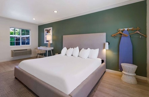 Piedmont Avenue Hotel | Explore the amazing riches of local aquatic animals in the Aquarium of the Bay!