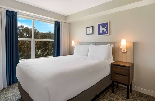 Oyster Point Hotel | Explore the City! Studio Suite w/Free Breakfast, Free Shuttle, Full Kitchen!