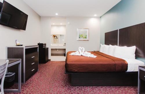 Spring Hotel | Express Inn - Spring