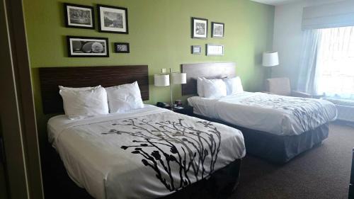 Harrisburg - Hershey Hotel | Express Inn & Suites