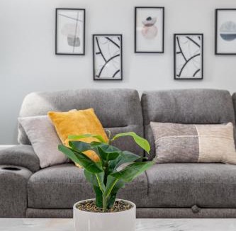 Asylum Hill Apartment | Exquisite Downtown Loft Apartment