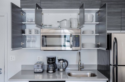 South Loop Apartment | Exquisite South Loop 1BR nr L & Grant Park, by Blueground