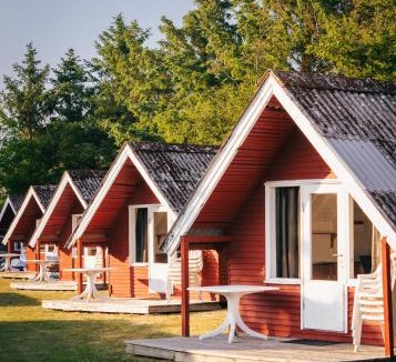 Saltum Other | Fårup Skovbrynet