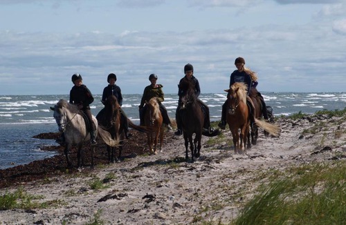 Læsø House | Fædrelandet Ferielejlighed & Turridning