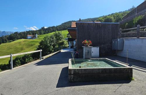 Sarn Apartment | Försterhaus Dalin Ferienwohnung Schweizer Alpen