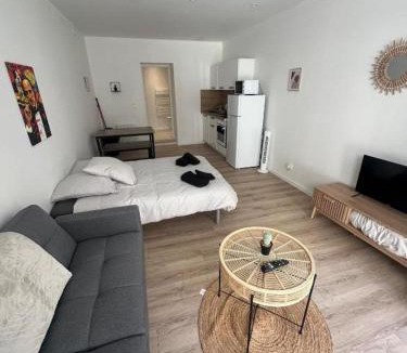 Anatole France Danton Apartment | F1 Cosy 1
