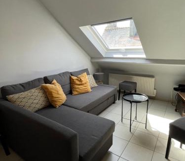 Centre Ancien Apartment | F2 au CALME HYPER CENTRE