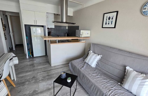 La Jetee Apartment | F2 BEAUTIFUL VIEW PORT AND SEA, 20 METERS BEACH
