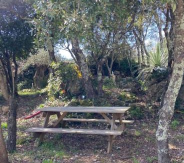 Causse-de-la-Selle House | F2 dans un endroit paisible