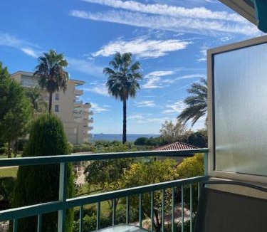 Golfe Juan Apartment | F2 Vue mer - Piscine - Climatisation - Parking