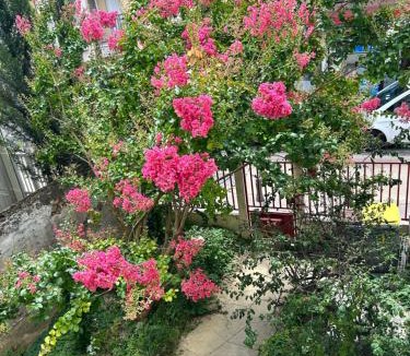 Quartier Centre Ville Apartment | F3 au grenier d'une maison