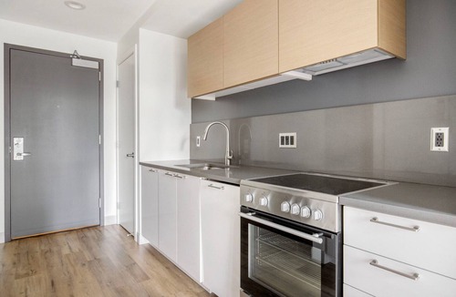 West Fens Apartment | Fabulous Fenway Studio w/Gym, nr T Stop & Dining, by Blueground
