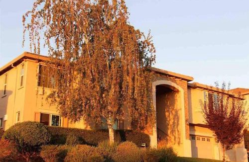 Folsom Villa | Fabulous Grand Home Pool~Jacuzzi Central Walkable