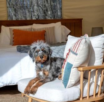 South Haven House | Fabulous Michigan Glamping Getaway near South Haven