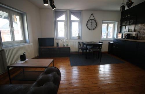 Le Cateau-Cambresis Apartment | Face à Matisse