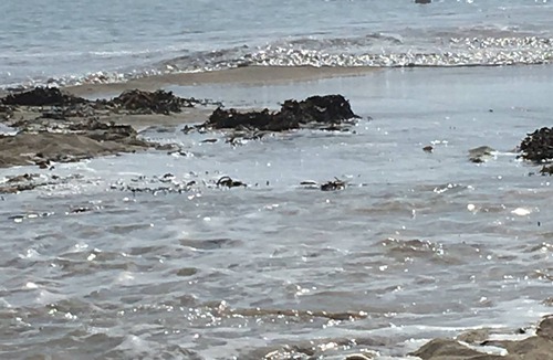 Pouldreuzic House | Face l'Océan apartment, Penhors