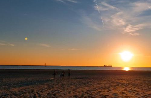 Boulogne-sur-Mer Apartment | Face Nausicaa et plage vue panoramique