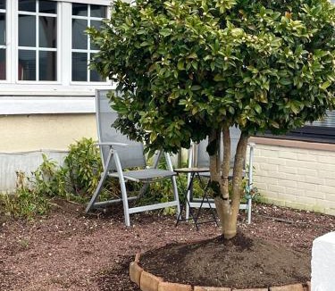 Sourdeval House | Fair Field