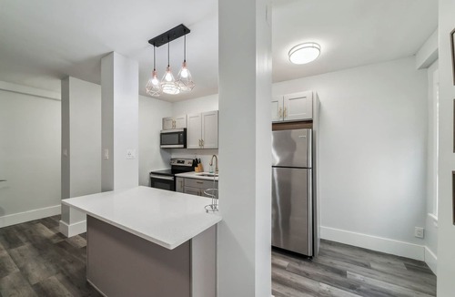 Spruce Hill Apartment | Fairfax Apartments 303 Spacious 1 Bed 1 Bth