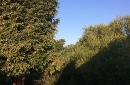 Bishops Waltham Bed & Breakfast | Fairlawn