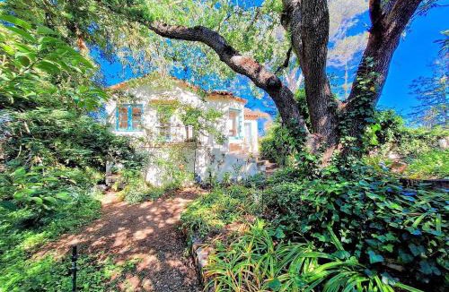 Monte Sereno Villa | Fairy Hill Sanctuary