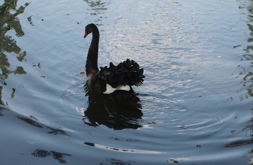 Lombron House | Fairy-Tale 15th-18th C. Loire Chateau