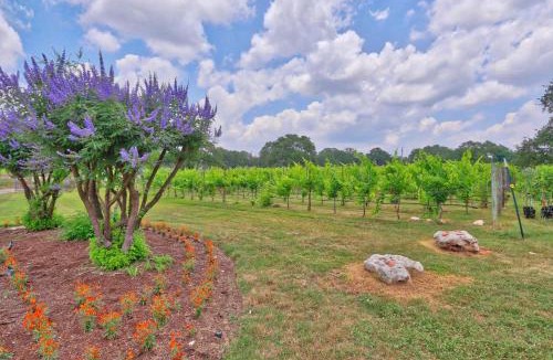 Buda House | Fall Creek Vineyards Chardonnay Room