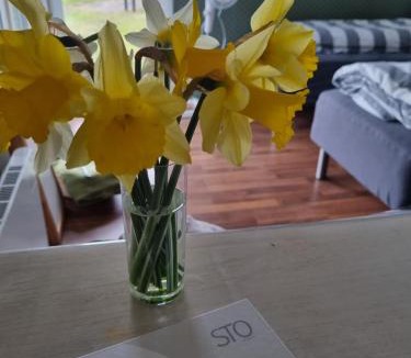 Horbelev House | Falsterly Glamping