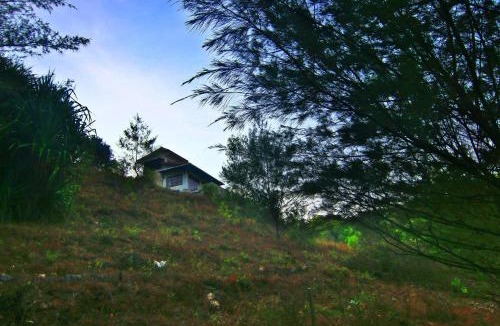 Wonosari Villa | Fam Sugiono Cottage - Studio House