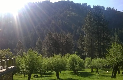 Wallowa County Cabin | Families and Groups