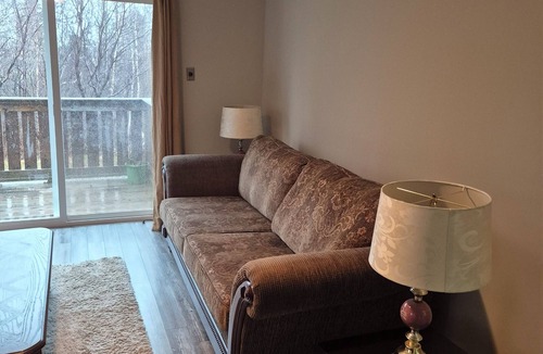 Grand Falls - Windsor Apartment | Family adventure with plenty of room
