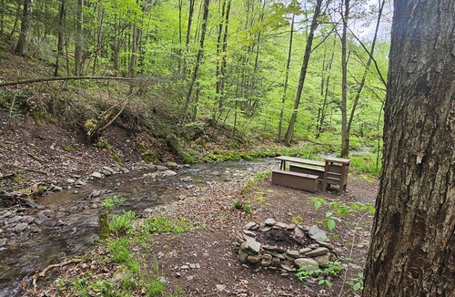 Delancey RV Rental | Family and pet friendly campsite.nCamp by a brook in a serene mountain setting