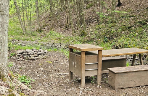 Delancey RV Rental | Family and pet friendly campsite.nCamp by a brook in a serene mountain setting