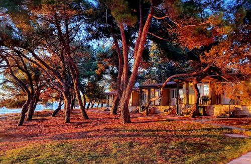 Novigrad Resort | Family Bungalow Pineta